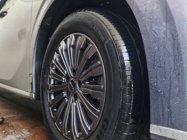 BYD eMAX 9, inside and out, JMV home service car wash, Davao City
